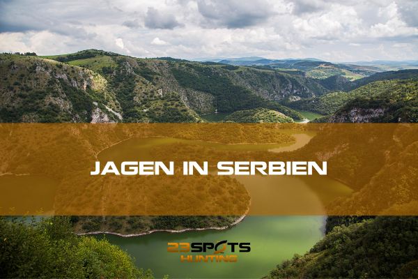 Jagdreise Serbien 01