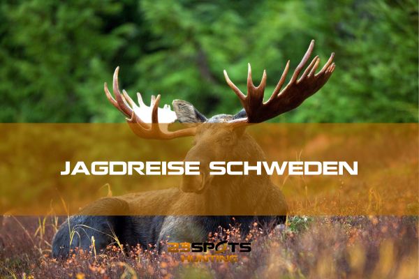 Jagdreisen Schweden 01